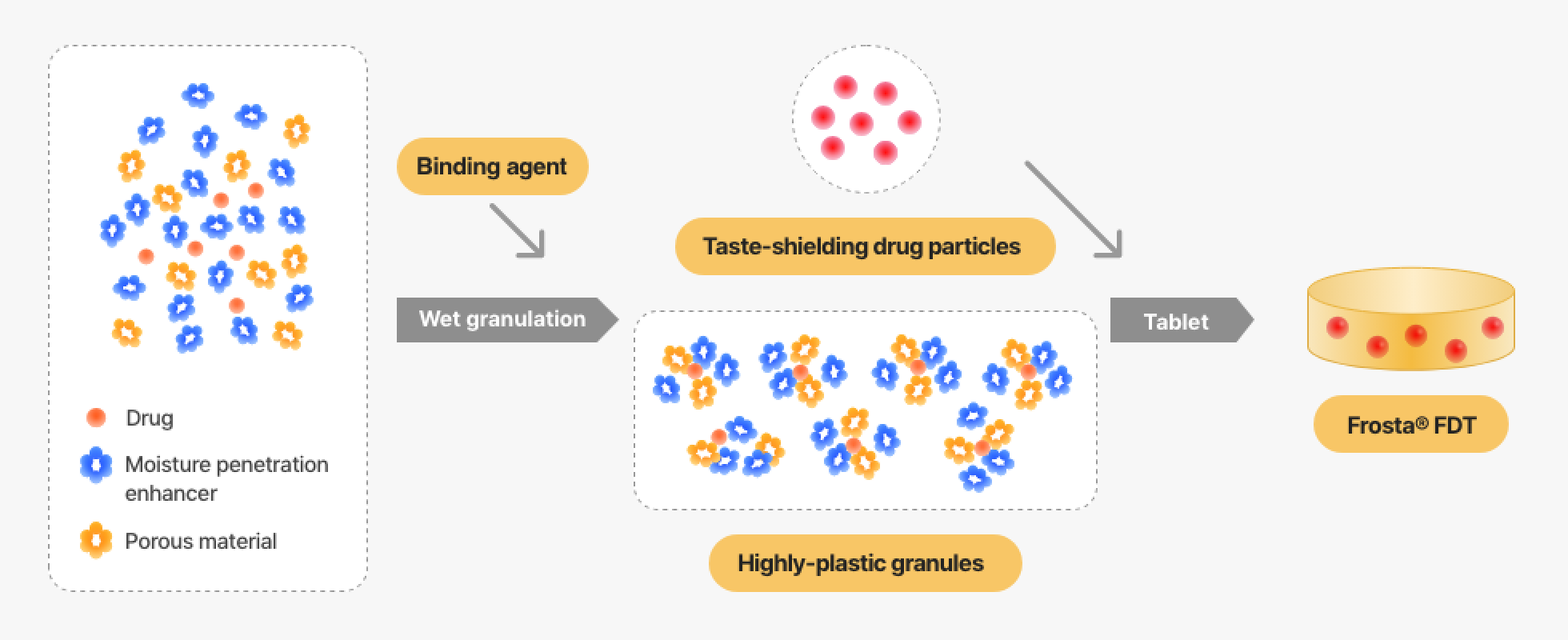 FDT (Fast Dissolving Tablet)