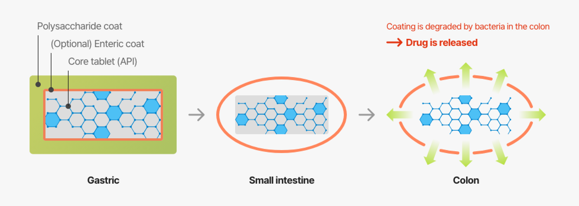 CSDS (Colon Specific Delivery System)