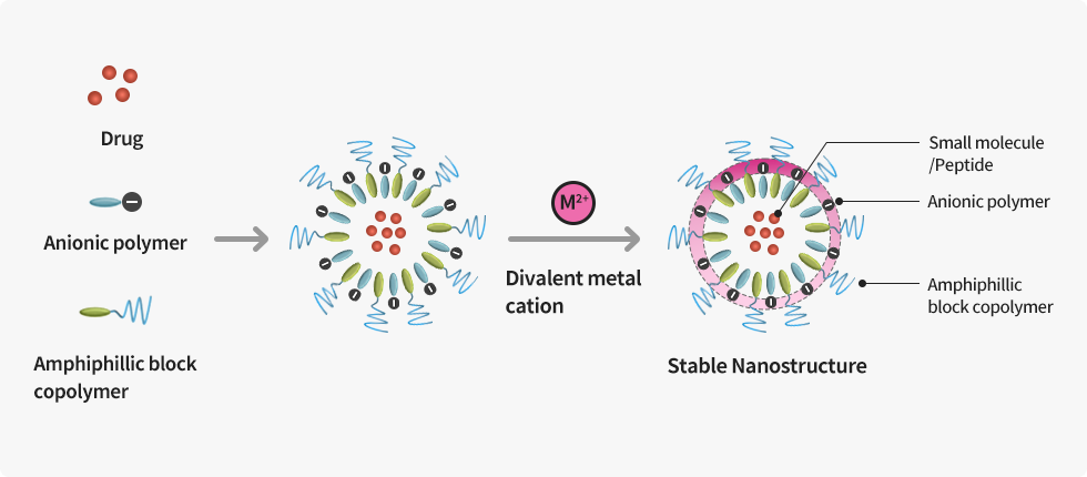 PNP(Polymeric Nanoparticle)