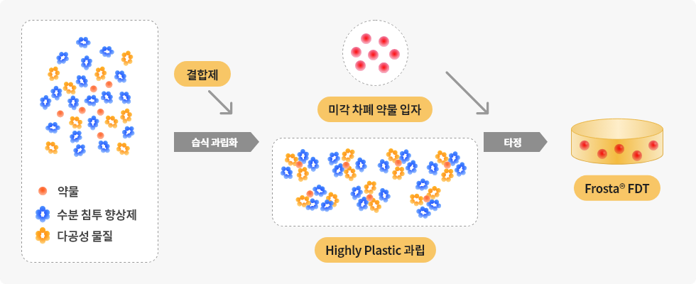 FDT (Fast Dissolving Tablet)의 구조