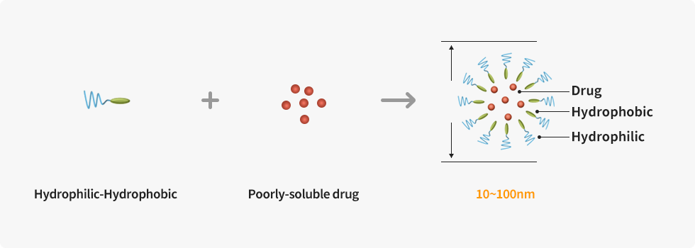 PM(Polymeric Micelle) 구조